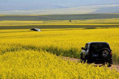 廣州租車自駕游攻略有哪些？